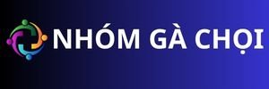 nhom-ga-choi-c1