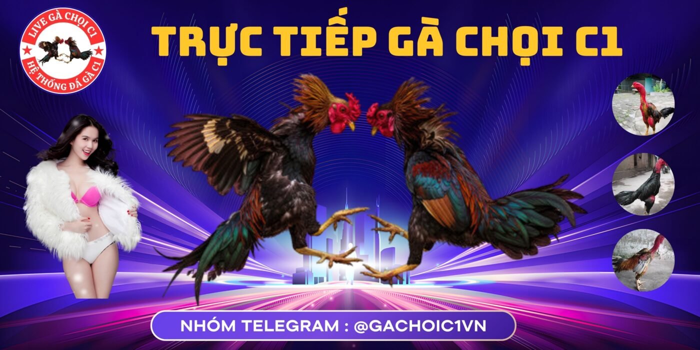 Trực tiếp gà chọi c1 nhóm telegram cùng ngọc trinh